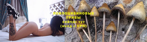 прущая мука Алексеевка